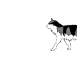 Forum Image: http://i1006.photobucket.com/albums/af181/Haruha91/Gifs/Misc-catchthatcat-1.gif