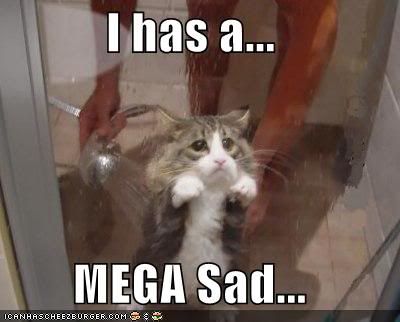 Forum Image: http://i1006.photobucket.com/albums/af181/ShiaReisen/Images/ihasamegasad.jpg