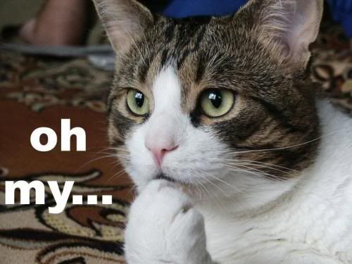 Forum Image: http://i1006.photobucket.com/albums/af181/ShiaReisen/Images/oh-my-its-linus.jpg