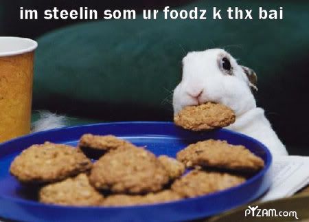 Forum Image: http://i1006.photobucket.com/albums/af181/ShiaReisen/Images/stealinurfoods.jpg