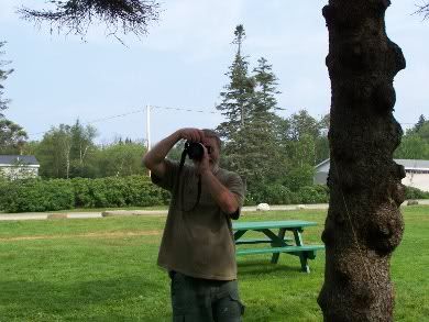 Frank takes aim
