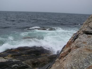 The surf