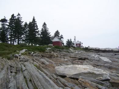 On the rocks