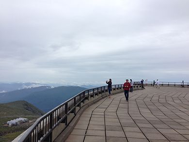 from the roof of the Observatory