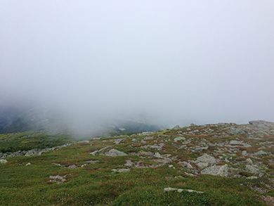 fog