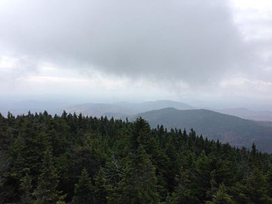 view from tower