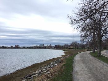 Along the Back Cove Trail