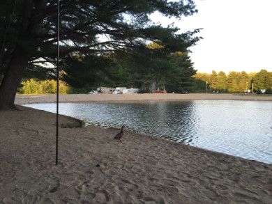 operating from the beach