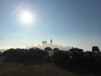 early morning fog