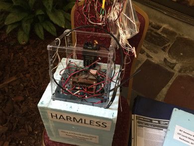 Harmless