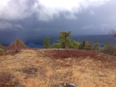 Darker skies