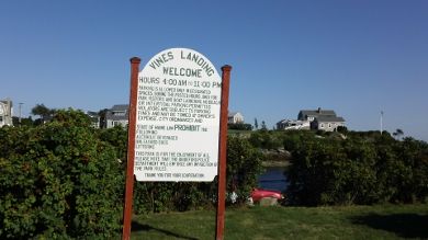 Vines Landing