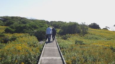 boardwalk