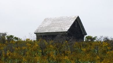 oil house