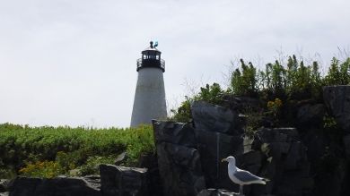 from the rocks