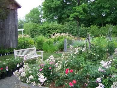 Florence Griswold Garden