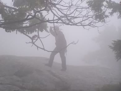 Thom searches for DX