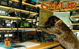 gm4jr