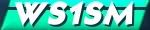 WS1SM