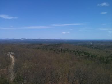 View from the firetower