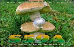 S59A qsl card