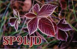 SP9LJD QSL card
