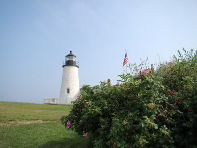 Lighthouse from afar