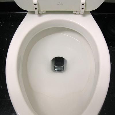 phoneInTheToilet.jpg