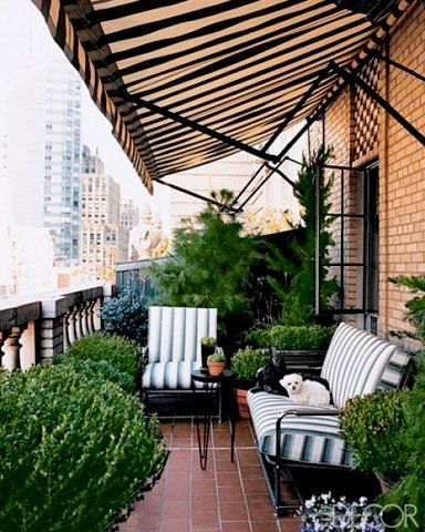 photo Thomasorsquobrien-ElleDecor_zps16d2ae37.jpg