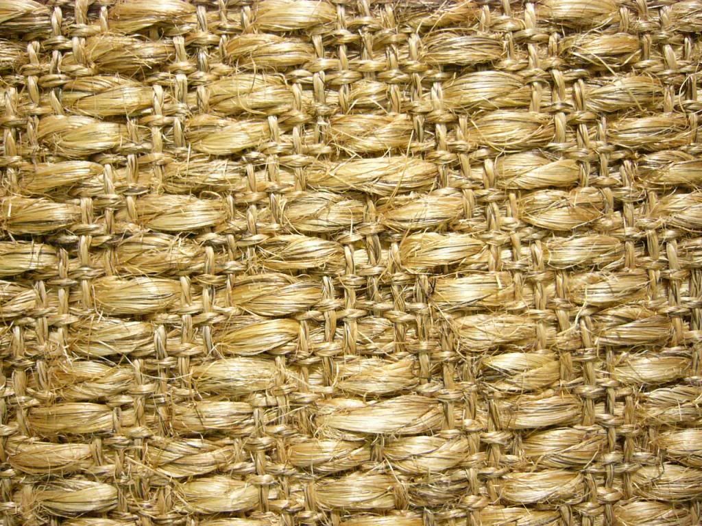 photo ds-seagrass1_zps66ee0adc.jpg
