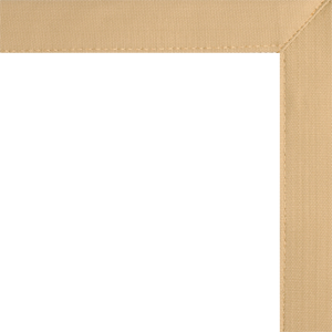photo extrawidecanvas_tan_zps507bddce.png