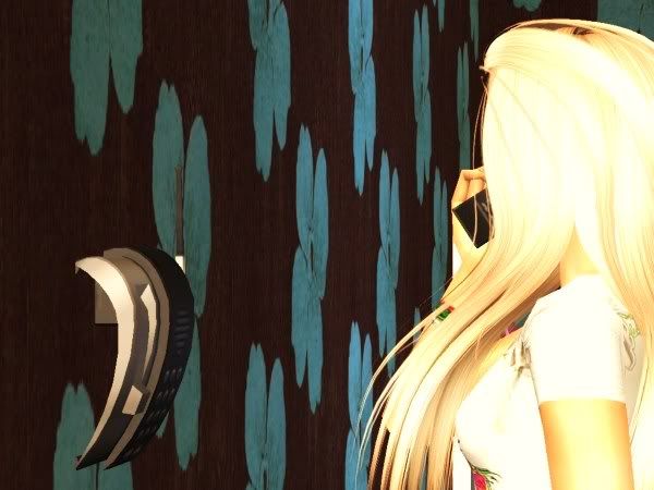 snapshot_79dc4a0a_59dc6a7d.jpg