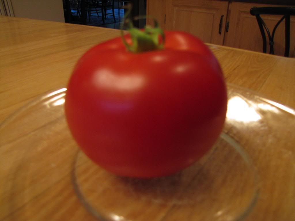  photo 007_zps883be118.jpg