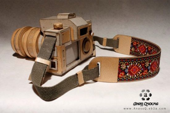 Amazing Cardboard Cameras