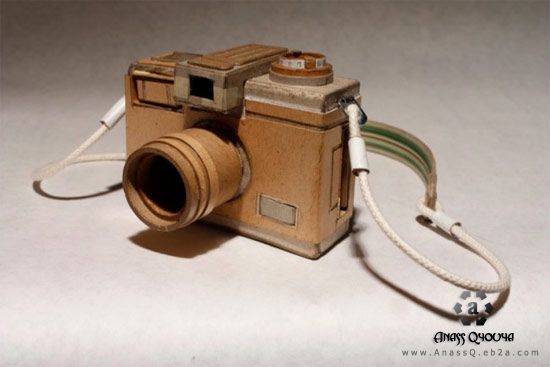 Amazing Cardboard Cameras