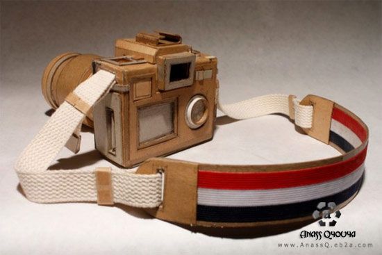 Amazing Cardboard Cameras