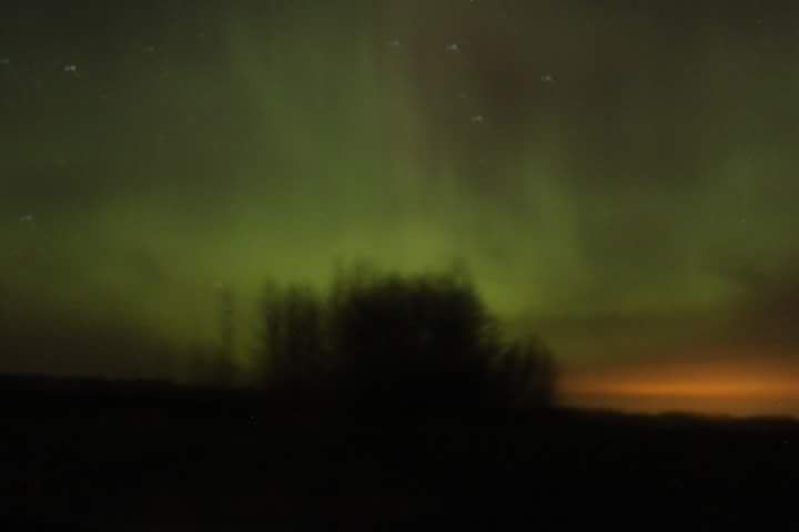 IMAGE: http://i1006.photobucket.com/albums/af184/dieselblueheeler/FB_IMG_1443149754221_zpsoiv9q1yp.jpg