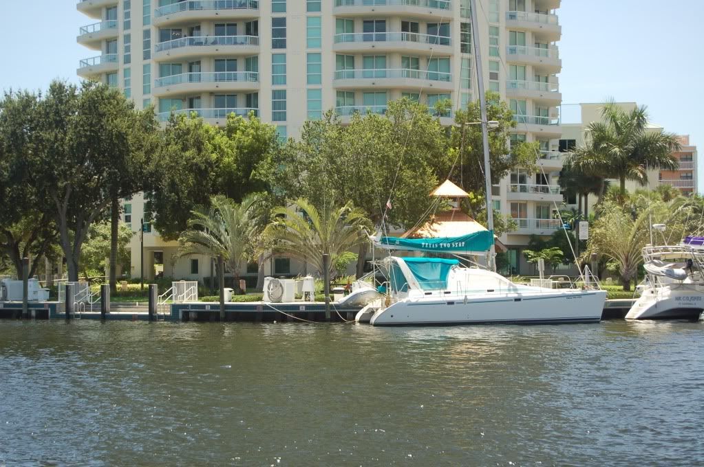 Riverboatsandtrianglepalms.jpg
