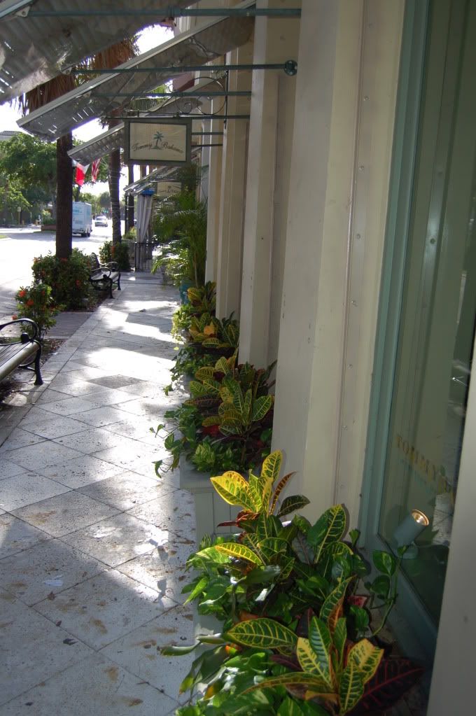 crotonplanters.jpg