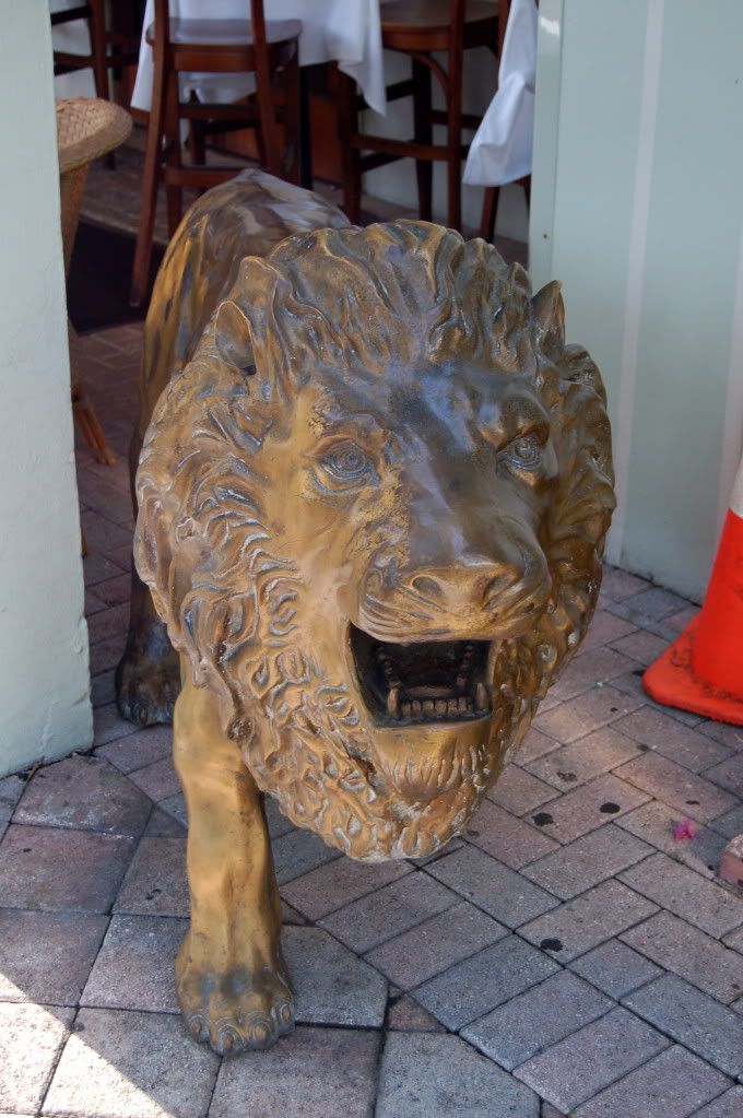 lionatindigo.jpg