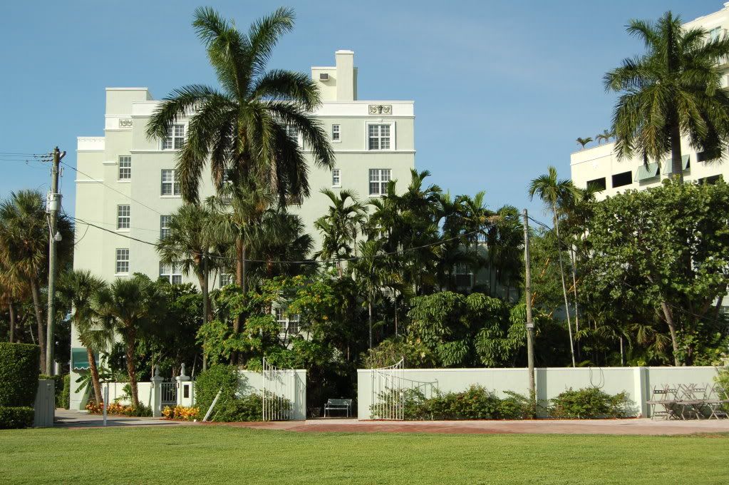 palmsandprivacy.jpg