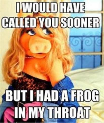  photo MuppetsMeme.jpg