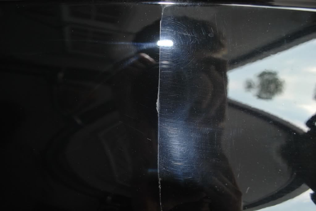 DSC_0310.jpg