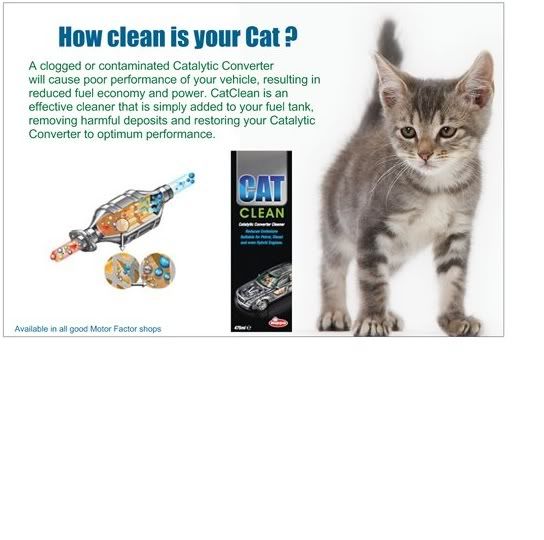 Details about 475ml Catalytic Converter Cleaner CAT CLEAN mot - Out ...