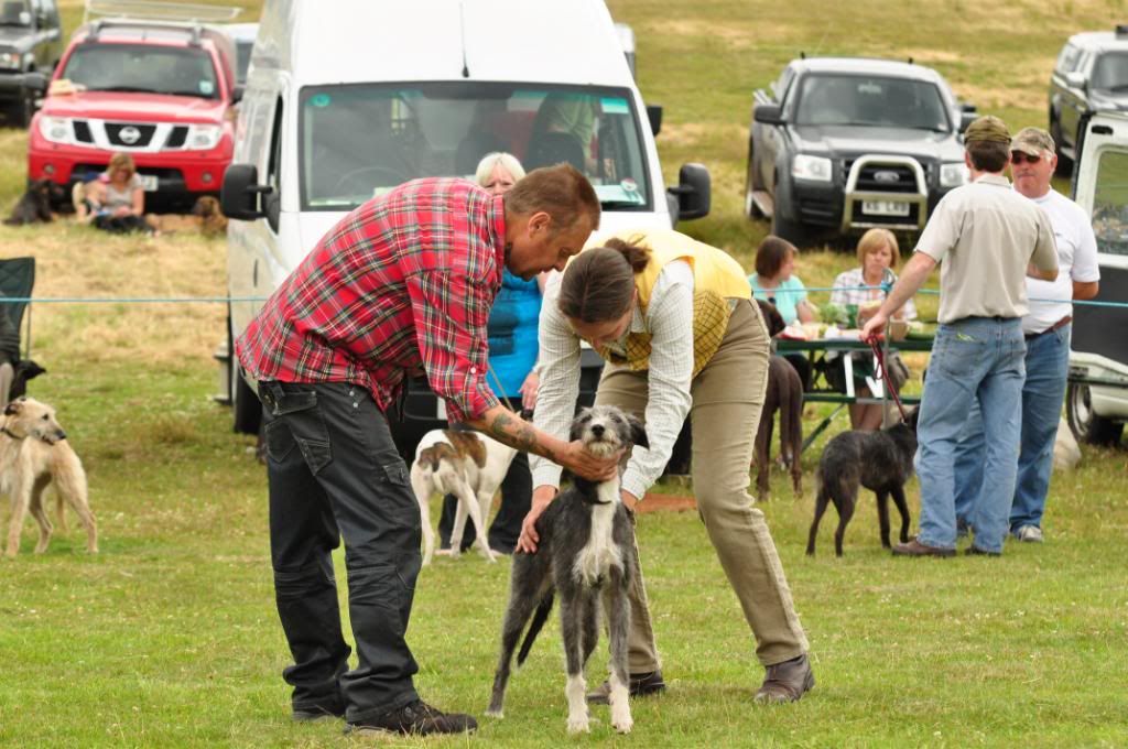 SummerDogShow2011141.jpg