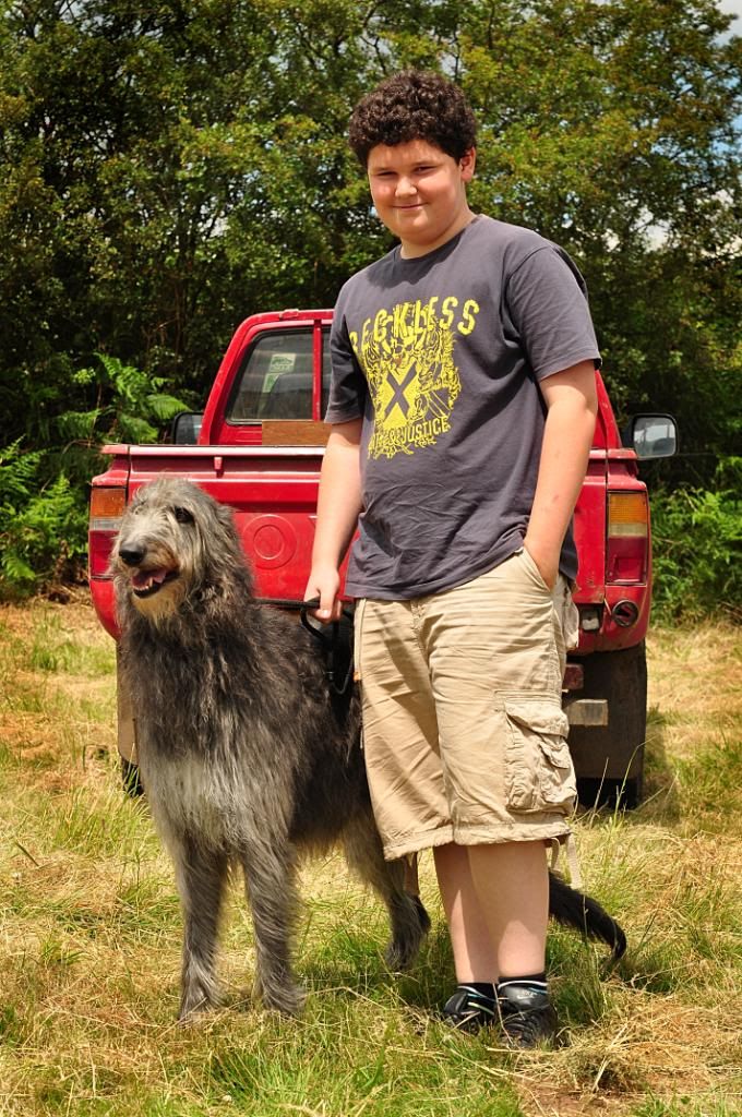 kanedeerhound.jpg