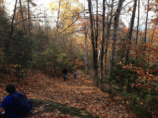 Mt. Blue trail