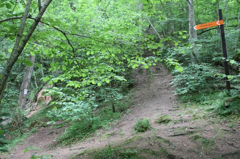 photo IMG_8836.jpg