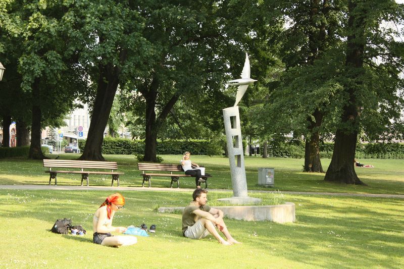 photo IMG_2824.jpg